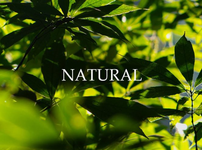 Reconnect with nature and find your inner radiance.