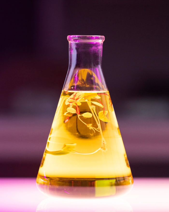 Phenoxyethanol
