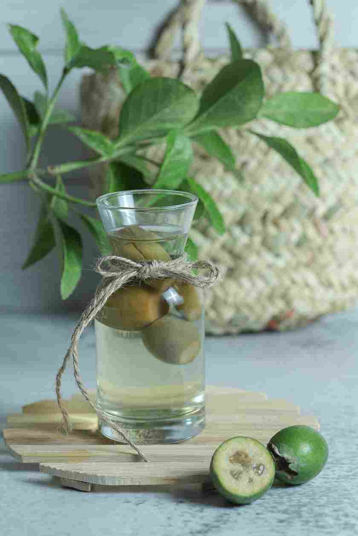 Ficus Species Extract